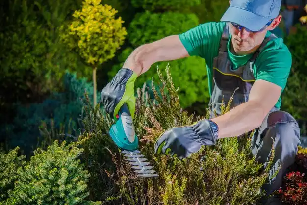 landscaping services Violet